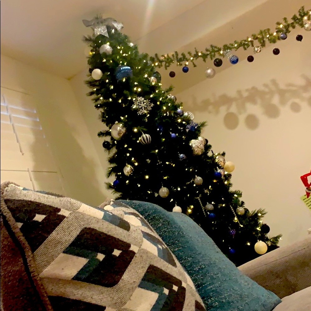 Christmas 🎄